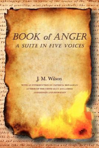 Könyv Book of Anger J M Wilson