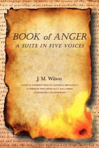 Kniha Book of Anger J M Wilson