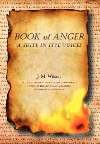Kniha Book of Anger J M Wilson