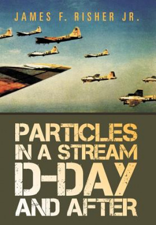 Könyv Particles in a Stream D-Day and After James F Risher Jr