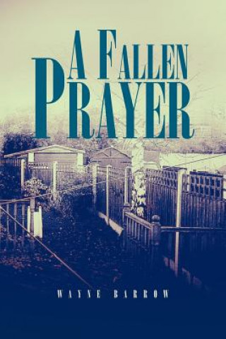 Buch Fallen Prayer Wayne Barrow