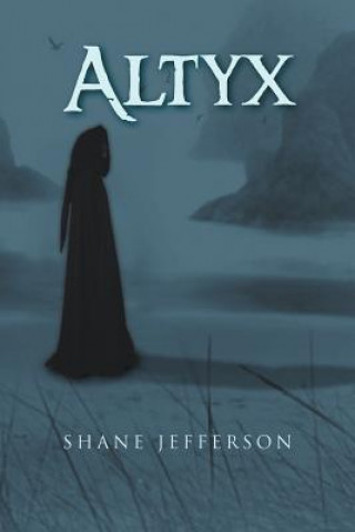 Könyv Altyx Shane Jefferson