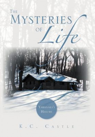 Knjiga Mysteries of Life K C Castle