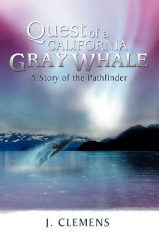 Buch Quest of a California Gray Whale J Clemens