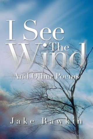 Knjiga I See The Wind Jake Rawkin