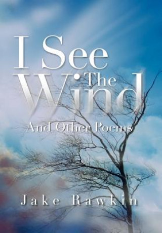 Knjiga I See the Wind Jake Rawkin