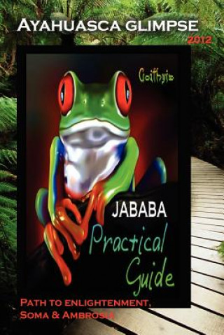 Buch Ayahuasca Glimpse 2012 Goithyja