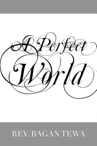 Carte Perfect World Rev Bagan Tewa