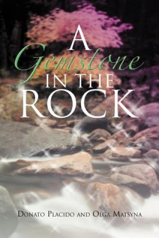 Buch Gemstone in the Rock Olga Matsyna