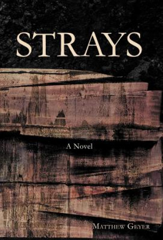 Libro Strays Matthew Geyer