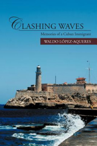 Könyv Clashing Waves Waldo Lopez-Aqueres