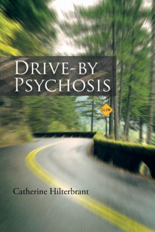 Könyv Drive-By Psychosis Catherine Hilterbrant