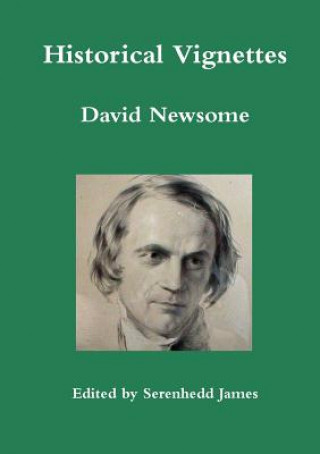 Buch Historical Vignettes David Newsome