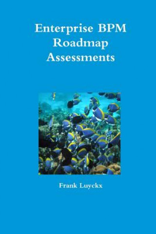 Kniha Enterprise BPM Roadmap Assessments Frank Luyckx