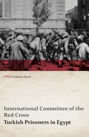 Kniha Turkish Prisoners in Egypt (WWI Centenary Series) International Committee of the Re Cross