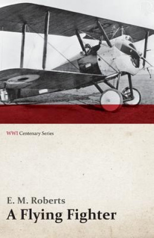 Book Flying Fighter - An American Above the Lines in France (Wwi Centenary Series) E M Roberts