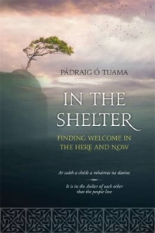 Carte In The Shelter Padraig O'Tuama