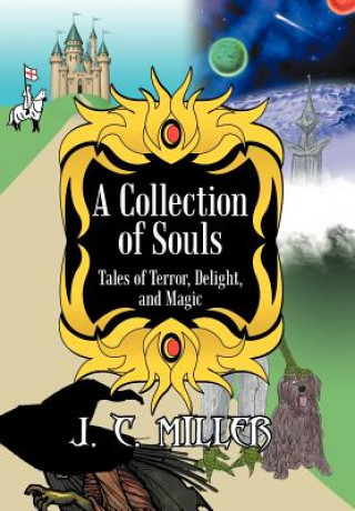 Kniha Collection of Souls J C Miller