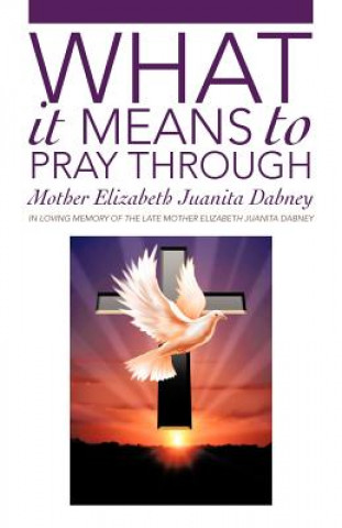Knjiga What It Means To Pray Through Mother Elizabeth Juanita Dabney