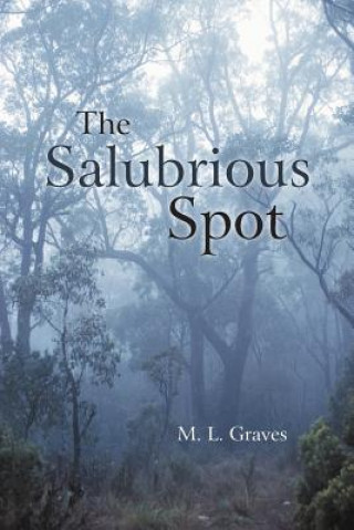 Knjiga Salubrious Spot M L Graves