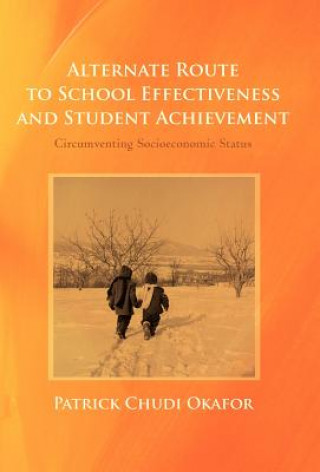 Книга Alternate Route to School Effectiveness and Student Achievement Patrick Chudi Okafor