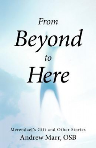 Book From Beyond to Here Andrew Marr Osb