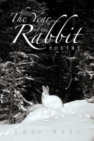 Kniha Year of the Rabbit Kozi Nasi