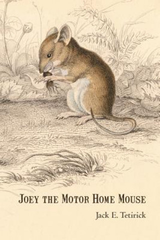 Kniha Joey the Motor Home Mouse Jack E Tetirick