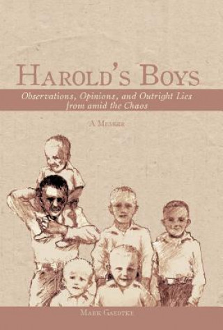 Kniha Harold's Boys Mark Gaedtke
