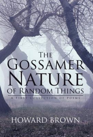 Buch Gossamer Nature of Random Things Howard Brown