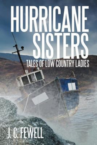 Книга Hurricane Sisters J C Fewell