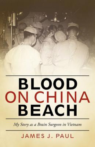 Knjiga Blood on China Beach Paul J Pitlyk