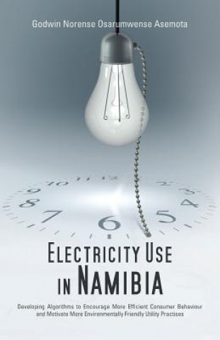 Book Electricity Use in Namibia Dr Godwin Norense Osarumwense Asemota