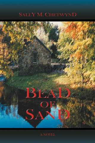 Kniha Bead of Sand Sally M Chetwynd