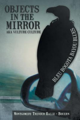 Kniha Objects in the Mirror Aka Vulture Culture Montgomery Trevour Halle - Bouern