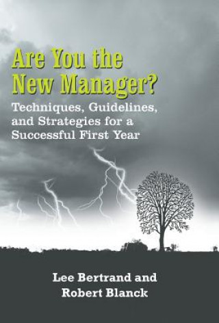 Книга Are You the New Manager? Robert Blanck