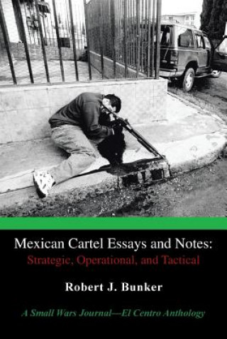 Kniha Mexican Cartel Essays and Notes Robert J Bunker