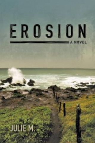 Kniha Erosion Julie M
