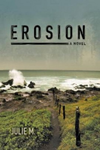 Buch Erosion Julie M