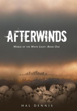 Buch Afterwinds Hal Dennis