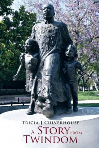 Книга Story from Twindom Tricia J Culverhouse