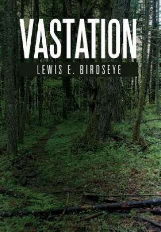 Книга Vastation Lewis E Birdseye