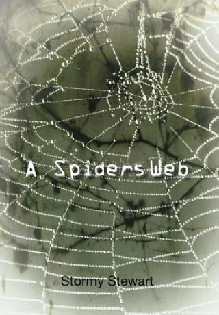 Książka Spiders Web Stormy Stewart