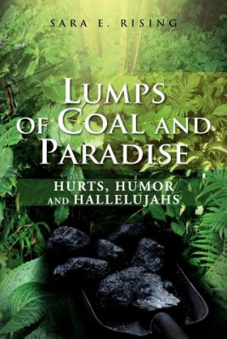 Книга Lumps of Coal and Paradise Sara E Rising