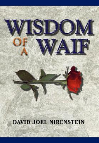 Kniha Wisdom of a Waif David Joel Nirenstein