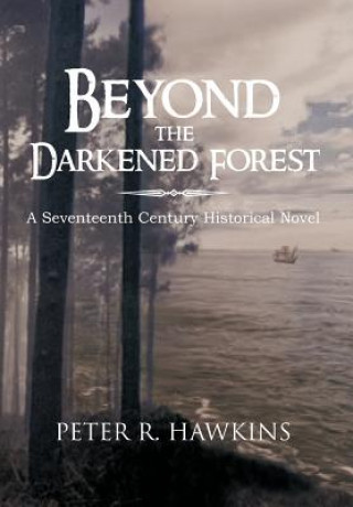 Buch Beyond the Darkened Forest Peter R Hawkins