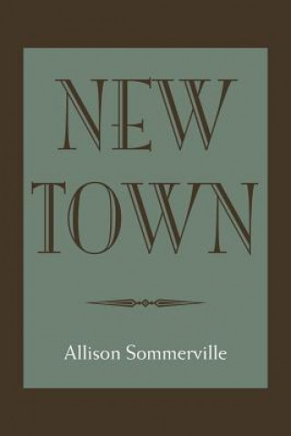 Buch New Town Allison Sommerville