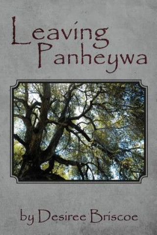 Kniha Leaving Panheywa Desiree Briscoe