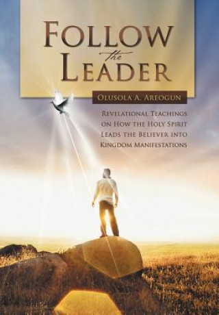 Kniha Follow the Leader Olusola A Areogun