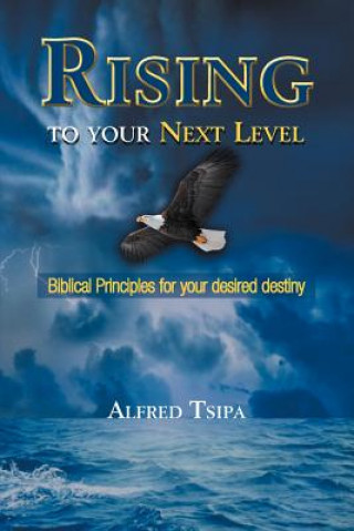 Book Rising to Your Next Level Alfred Tsipa